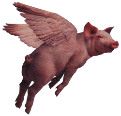 When Pigs Fly